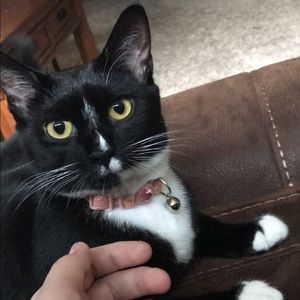 Meet your Posher, Alaina